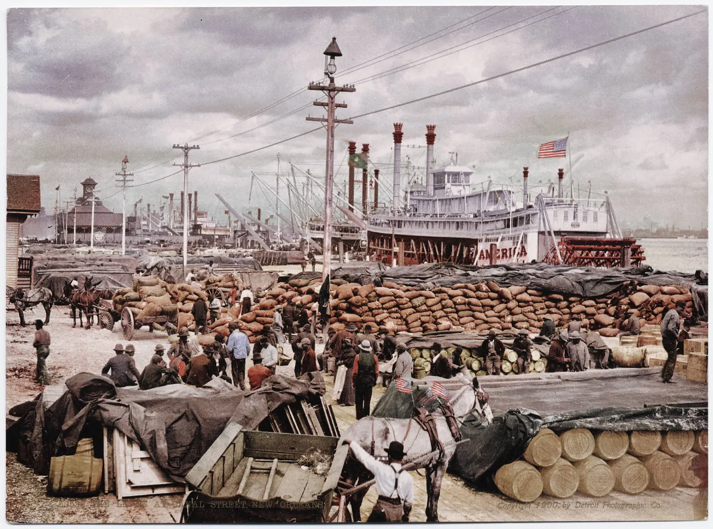The levee at New Orleans, 1900